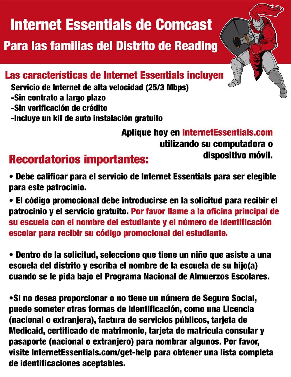 Internet Flyer Spanish